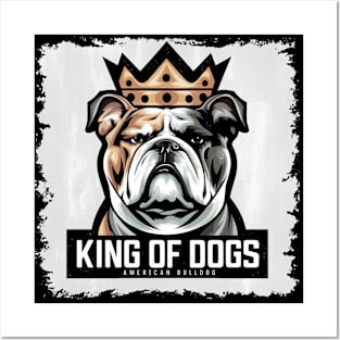 American Bulldog, The King Of Dogs Posters and Art